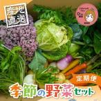彩り野菜セット 5種