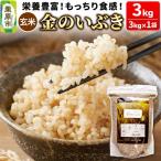 米 金のいぶき 3kg