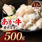 牛肉 ホルモン 定期便 12回 あか牛 白 計500g