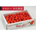2027年産 紅秀峰 バラ詰め 約700g