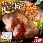 博多和牛 ハンバーグ140g×5個入り