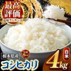 令和8年度産 こしひかり 白米 約4kg
