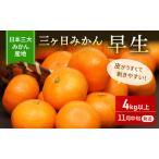 三ヶ日みかん 早生 4kg以上