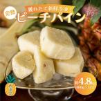 2027年 獲れたて新鮮冷凍 西表島の完熟ピーチパイン 4.8kg