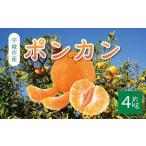 令和8年熊本地震復興支援 ポンカン 約4kg