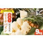 ショッピングふるさと納税 訳あり 不揃い ふるさと納税 ＜訳あり！＞2026年 先行予約 大きさ不揃い お得！箱にいっぱいピーチパイン9kgセット 沖縄県竹富町