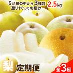梨 定期便 計3品種 フルーツ梨