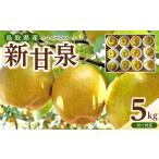 ショッピングふるさと納税 先行予約 ふるさと納税 1121．【2026年度発送先行予約】数量限定　新甘泉　5kg 鳥取県北栄町