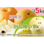 梨セット 5kg