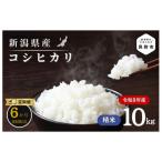 米 R8年産 コシヒカリ 10kg