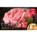 ふるさと納税 黒毛和牛とちぎ和牛焼肉切り落とし1.2kg《30日以内に出荷予定(土日祝除く)》 A4〜A5等級 霜降り 栃木県野木町