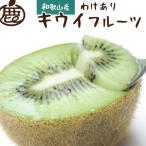 わけあり キウイ10kg+250g 傷み補償分