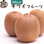 厳選 キウイ10kg+250g 傷み補償分