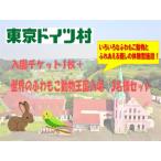 入場券 優待券 東京ドイツ村 入園チケット