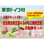 東京ドイツ村 入園チケット 1枚+昆虫爬虫類王国&ふわもこ動…