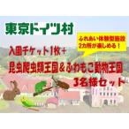東京ドイツ村 入園チケット 1枚+昆虫爬虫類王国&ふわもこ動…