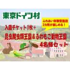 東京ドイツ村 入園チケット 1枚+昆虫爬虫類王国&ふわもこ動…