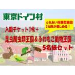 東京ドイツ村 入園チケット 1枚+昆虫爬虫類王国&ふわもこ動…