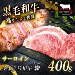 極上ステーキ やまぐち和牛 燦 きらめき サーロイン 400g