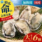 急速冷凍牡蠣 加熱用 大サイズ 6個