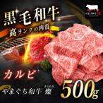 極上牛肉 やまぐち和牛 燦 きらめき カルビ 500g