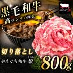 極上牛肉 やまぐち和牛 燦 きらめき 切り落とし 800g