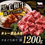 極上牛肉 やまぐち和牛 燦 きらめき カレー煮込み用 1200g