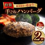 産の赤身牛 特製 手ごねハンバーグ 2個入り