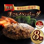 産の赤身牛 特製 手ごねハンバーグ 8個入り