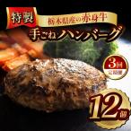 産の赤身牛 特製 手ごねハンバーグ 12個入り