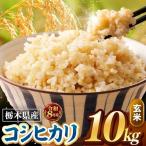 令和8年度産 こしひかり 玄米 約10kg