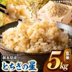 令和8年度産 とちぎの星 玄米 約5kg