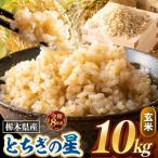 令和8年度産 とちぎの星 玄米 約10kg