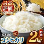 令和8年度産 こしひかり 白米 2kg