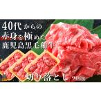 40代からの赤身を極めた鹿児島黒毛和牛切り落とし900g