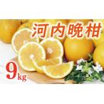 ふるさと納税 【数量�