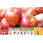 ふるさと納税 【26年4月発送】りんご 平均糖度13度以上！ シナノスイート 約5kg 訳あり CA貯蔵 クール便 青森 果物 フルーツ 林檎 リンゴ くだも.. 青森県弘前市