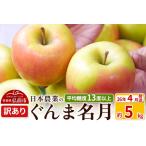 ふるさと納税 【26年4月発送】りんご 平均糖度13度以上！ ぐんま名月 約5kg 訳あり CA貯蔵 クール便 青森 果物 フルーツ 林檎 リンゴ くだもの .. 青森県弘前市