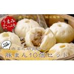 肉まん研究所 豚まん10個セット 肉まん