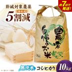 無洗米 新米 コシヒカリ 10kg