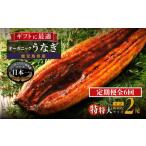 泰正オーガニックうなぎ蒲焼 特特大2尾合計400g以上