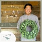 fu.... налог [ эвкалипт сельское хозяйство дом прямая поставка ].. длина You ka Release [1670631] Saitama префектура входить промежуток город 