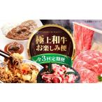 ふるさと納税 【全3回定期便】ミートモリタ屋 贅沢カレー＆ビーフシチューと和牛のお楽しみ定期便 お肉 肉 切り落とし すき焼き 和牛 牛肉 和牛.. 大阪府高槻市