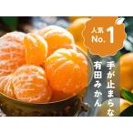 ふるさと納税 手が止まらない 訳あり 有田みかん 約3kg 大きさ無選別（2S?3L） 糖度11度以上 鳴川農園 和歌山県有田川町