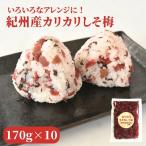 紀州産 カリカリ南高しそ梅 170g×10個