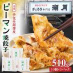 冷凍ピーマン焼餃子 10個