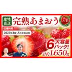 いちご あまおう 約275g×6P