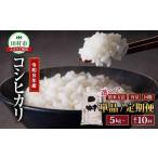 米 無洗米 令和8年産 コシヒカリ 5kg