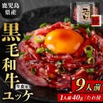 ユッケ 黒毛和牛 9人前