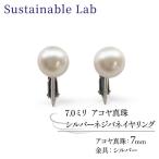 アクセサリー 真珠 イヤリング 7.0mm